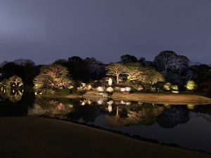 IMG_0810